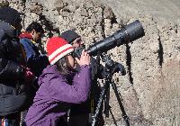 Photography- Nomad – Landscape- wild life- Bride watching