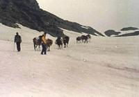 Jeep tour Delhi –Manali- Tsomoriri Ladakh